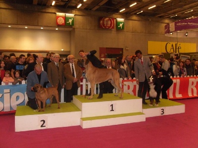 Des geants de becquigny - ELRICK  DES GEANTS DE BECQUIGNY   AU SALON DE L AGRICULTURE 